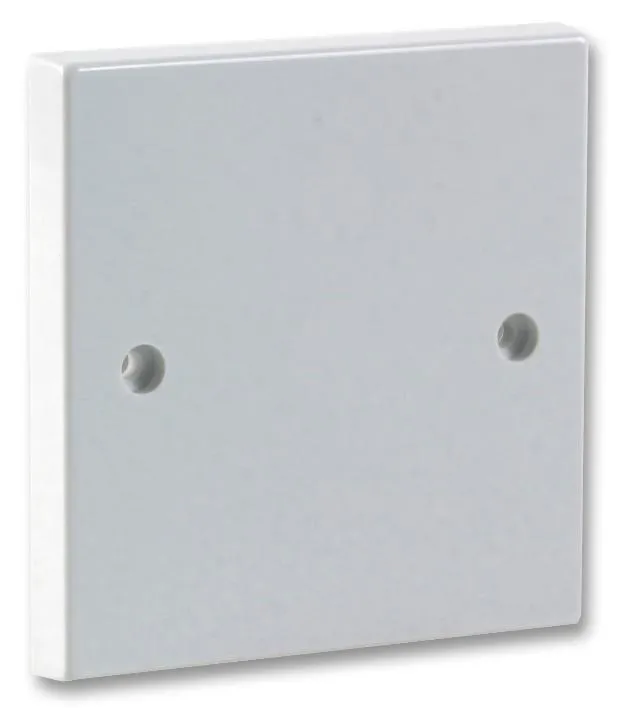 PRO ELEC 1-Gang Blanking Plate with Fixing Screws