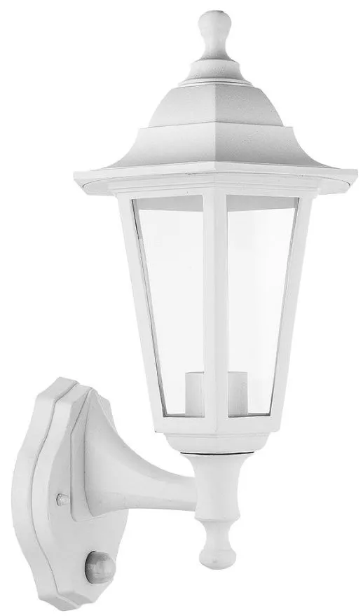 PRO ELEC Wall Lantern Light with Dusk to Dawn Sensor